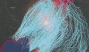 И снова о Wildberries